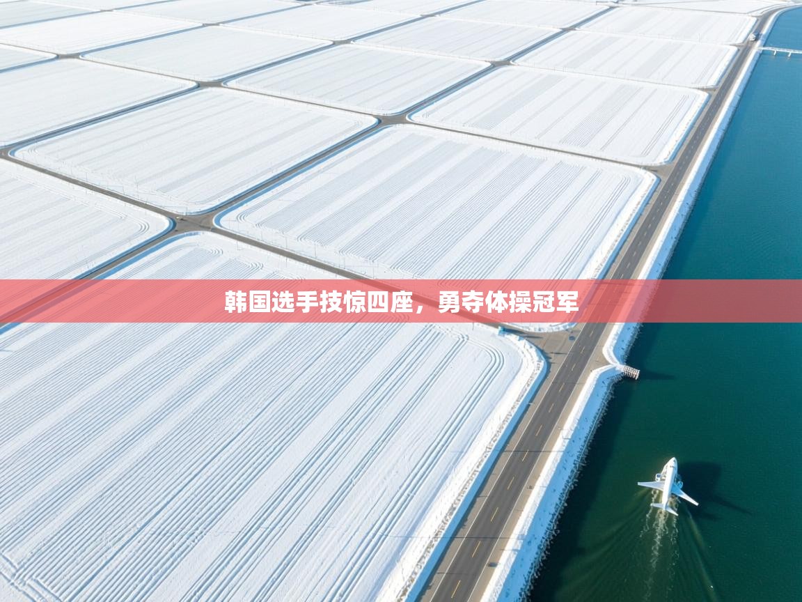 韩国选手技惊四座，勇夺体操冠军  第1张