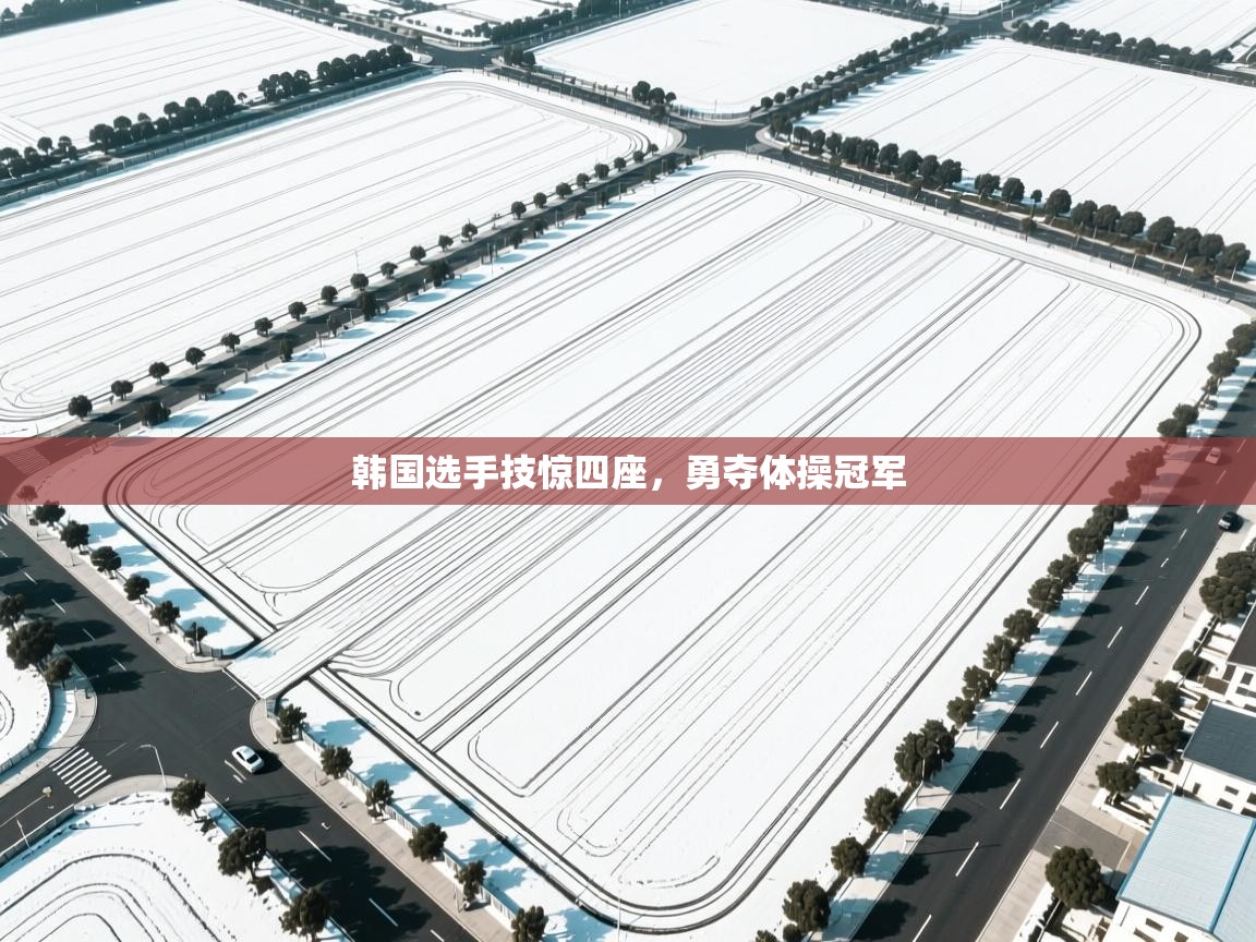 韩国选手技惊四座，勇夺体操冠军  第2张