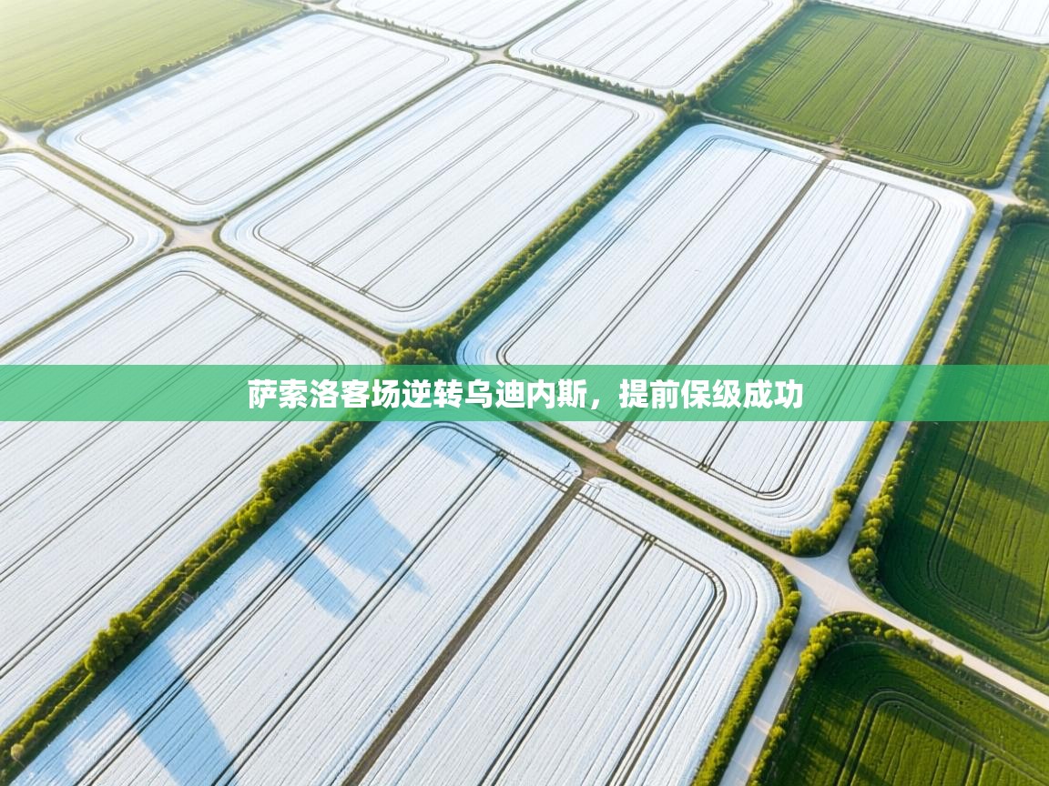 萨索洛客场逆转乌迪内斯，提前保级成功  第1张