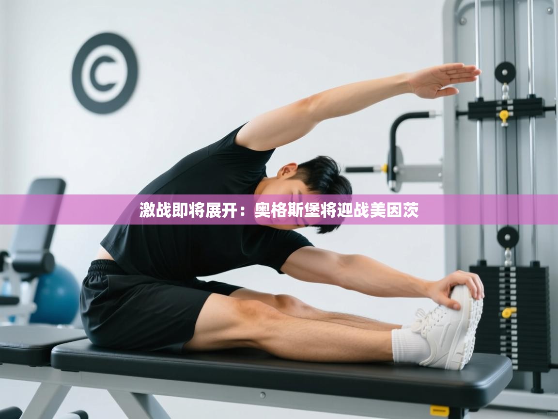 激战即将展开：奥格斯堡将迎战美因茨  第2张