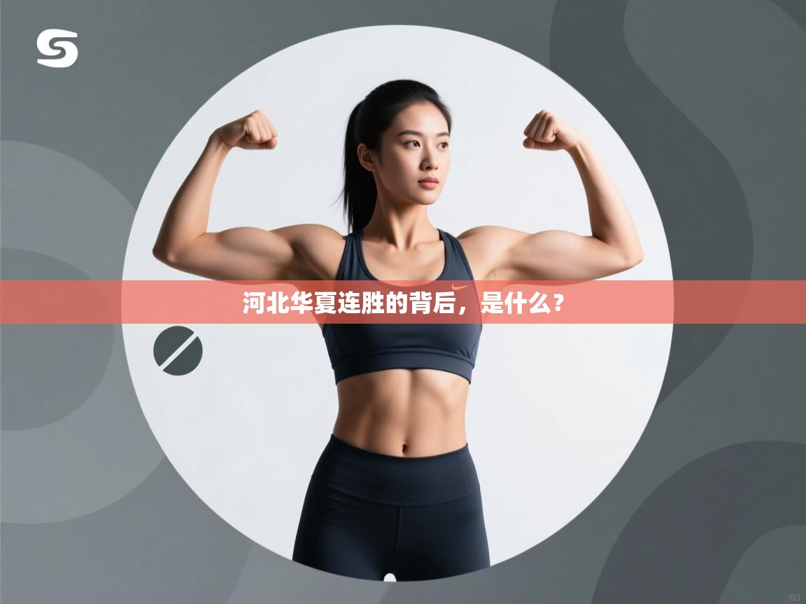 河北华夏连胜的背后,是什么? 第1张