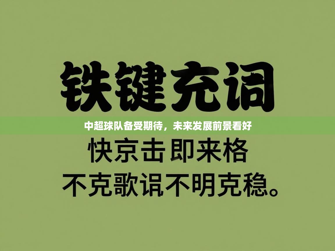中超球队备受期待，未来发展前景看好  第1张